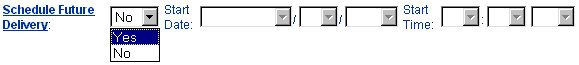 Web Interface Schedule Future Delivery