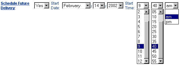 Web Interface Schedule Future Delivery